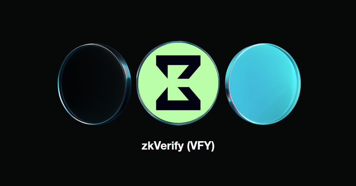 zkVerify universal proof system AI