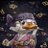 Pii™Ducks