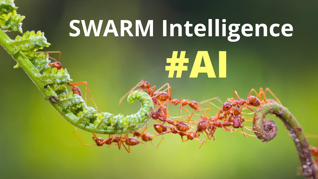 Swarm DLM decentralized learning machine GPU cluster