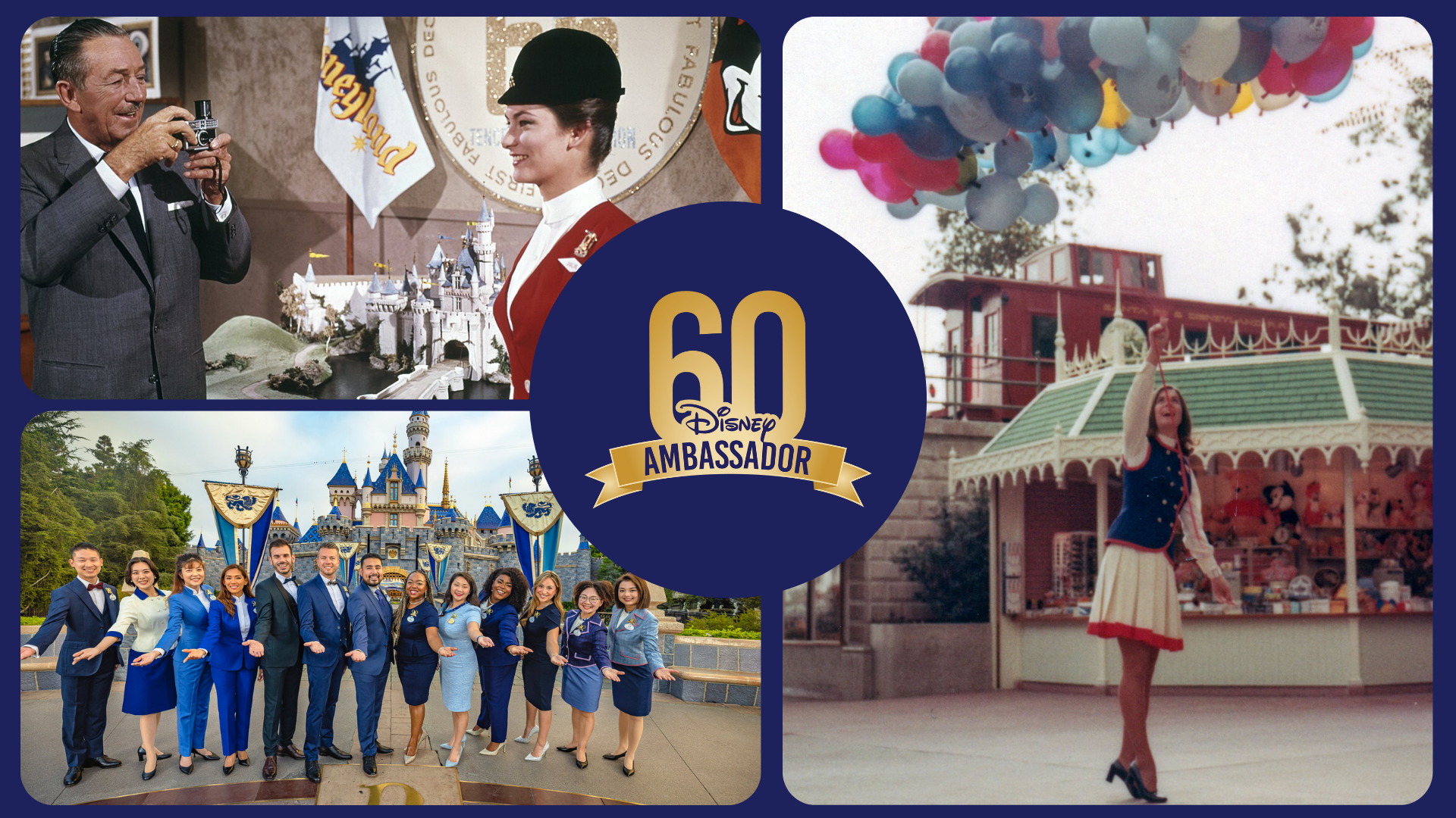DePINed Ambassador Program promotional materials
